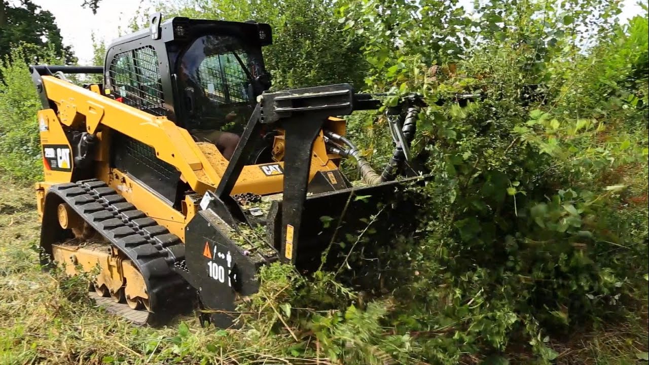 Brush removal in Chattanooga area